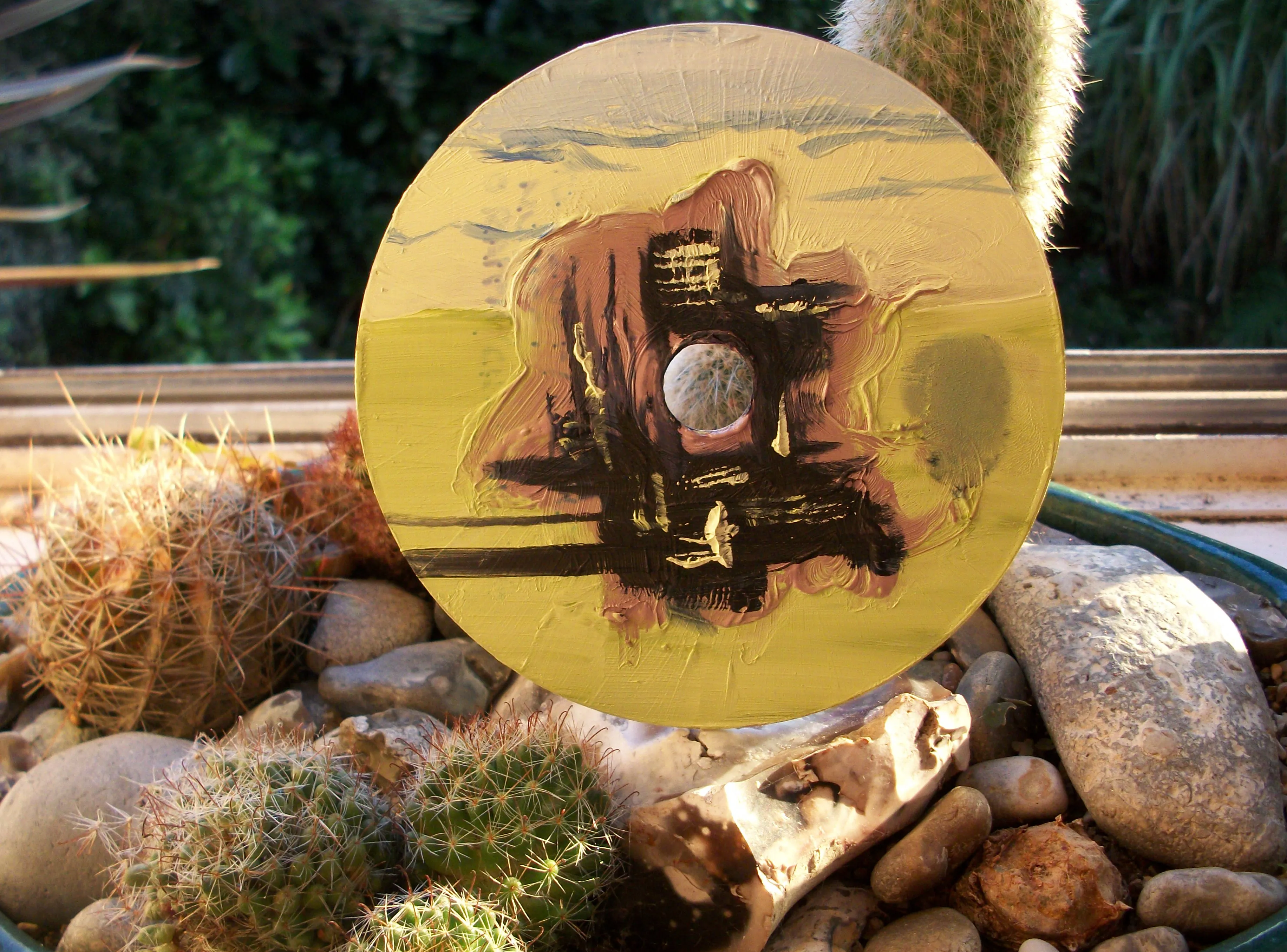 Still life photography of a painted CD balanced on a potted cactus